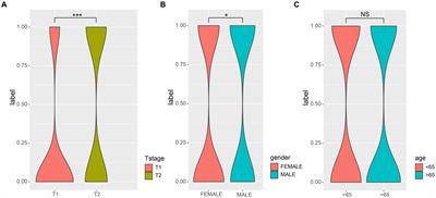 The characteristics of intratumoral microbial community reflect the development of lung adenocarcinoma